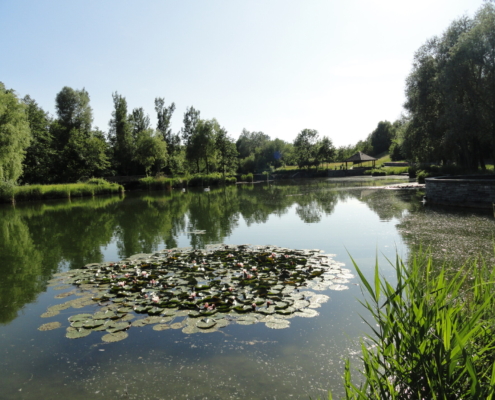 Immobilienpreise Engelhalde Kempten - Schaule Immobilien